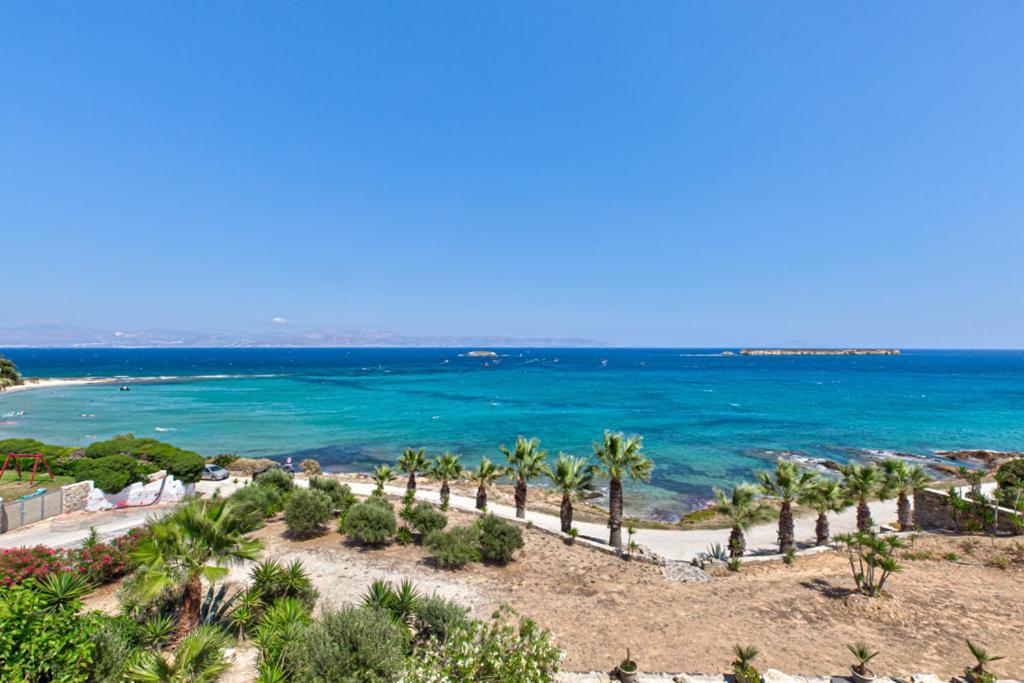 Paros Blue Dolphin Chrisi Akti (Paros)
