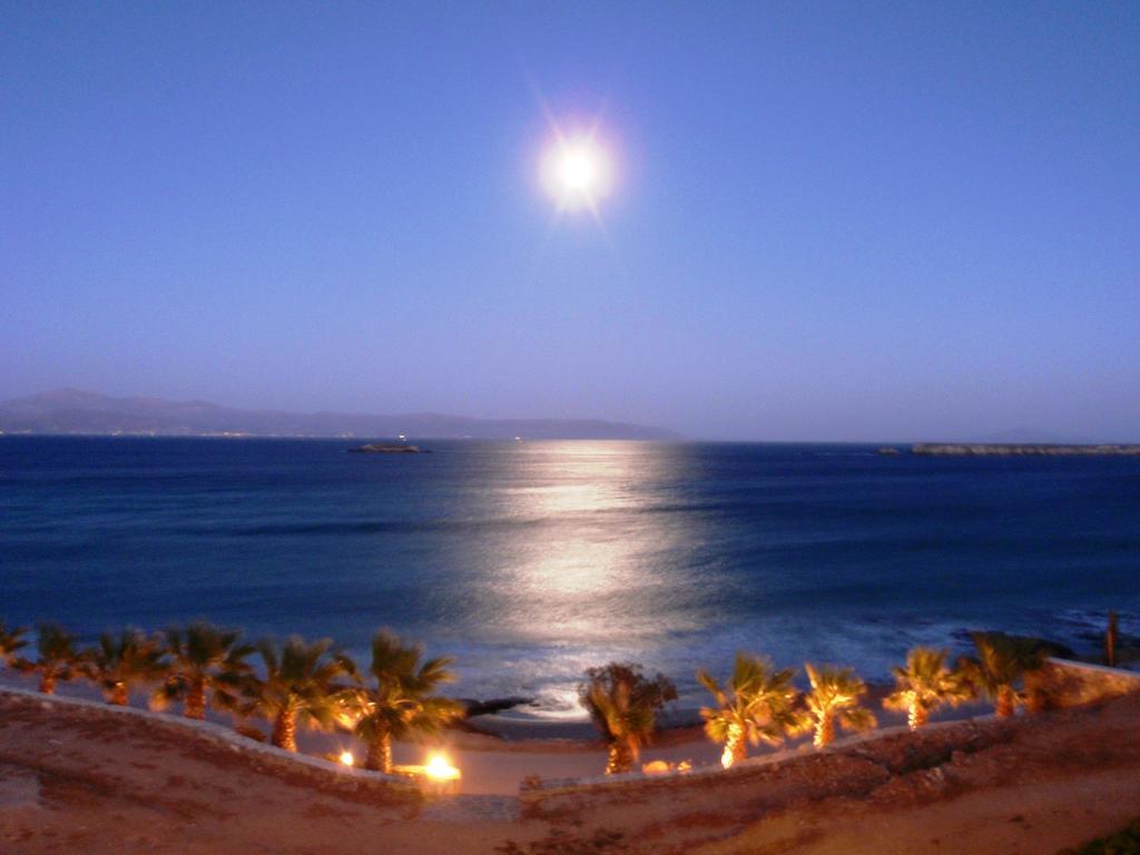 Hotel Paros Blue Dolphin
